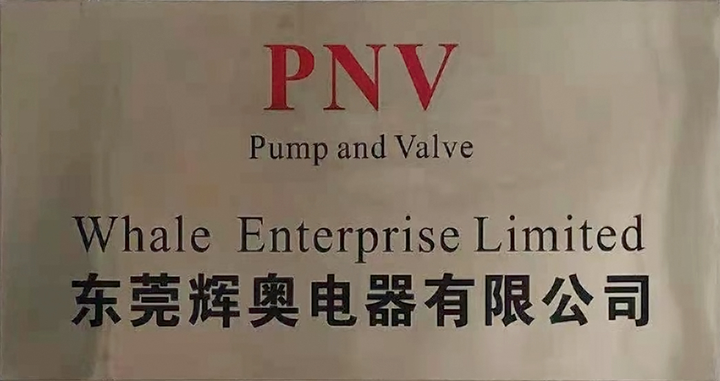 祝賀東莞市輝奧電器有限公司一次性順利通過TUV:SUD-RBA-VAP審核